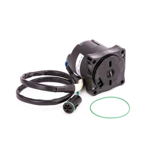 Sierra Tilt/Trim Motor. Honda