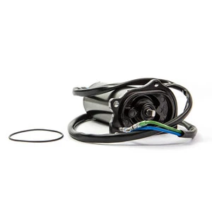 Sierra Tilt/Trim Motor. Mercury/Force